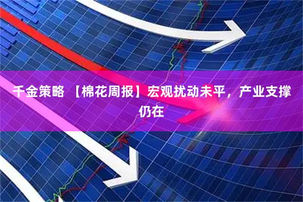 千金策略 【棉花周报】宏观扰动未平，产业支撑仍在