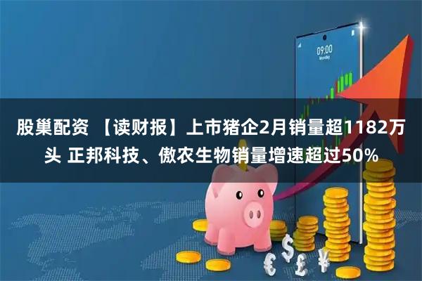 股巢配资 【读财报】上市猪企2月销量超1182万头 正邦科技、傲农生物销量增速超过50%