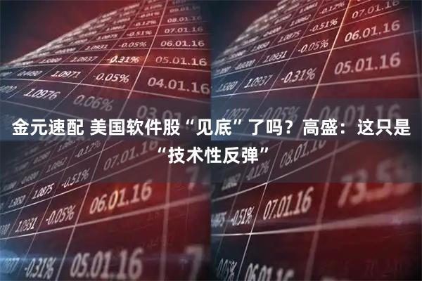 金元速配 美国软件股“见底”了吗？高盛：这只是“技术性反弹”