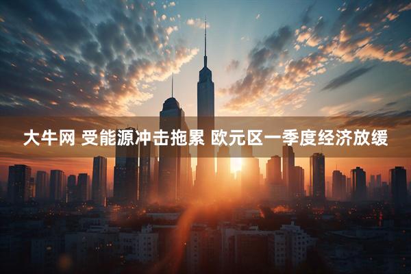大牛网 受能源冲击拖累 欧元区一季度经济放缓