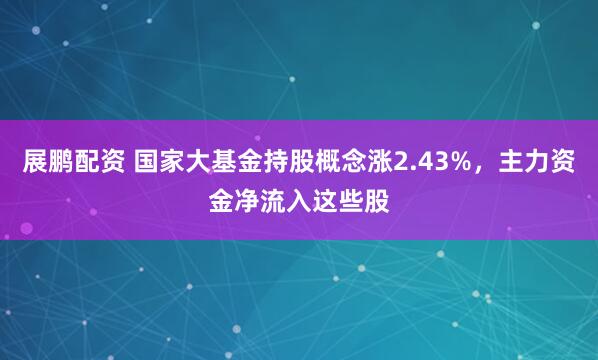 展鹏配资 国家大基金持股概念涨2.43%，主力资金净流入这些股