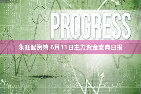 永旺配资端 6月11日主力资金流向日报