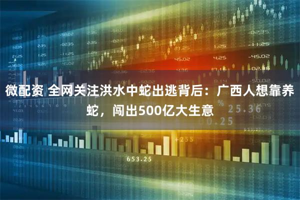 微配资 全网关注洪水中蛇出逃背后：广西人想靠养蛇，闯出500亿大生意