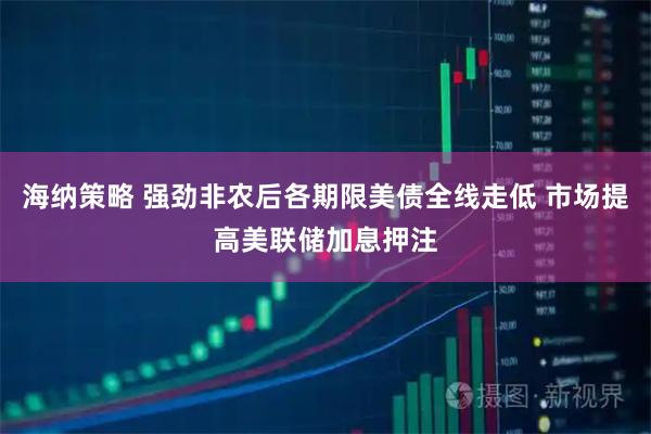 海纳策略 强劲非农后各期限美债全线走低 市场提高美联储加息押注